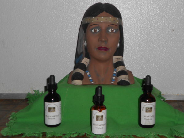 Indigenous Essentials 4 Life Tincture Combination Packet