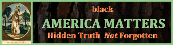 America Matters Bumper Sticker - Image 2