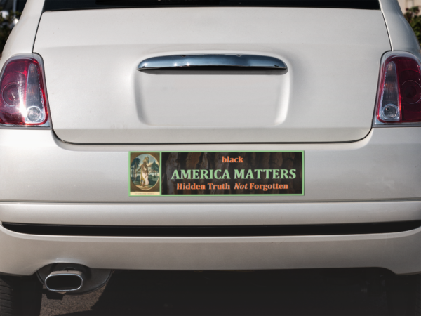 America Matters Bumper Sticker